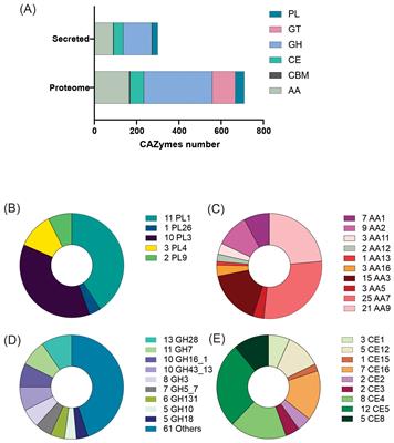 What lies behind the large genome of Colletotrichum lindemuthianum